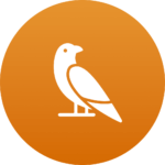 Bird_Workflow