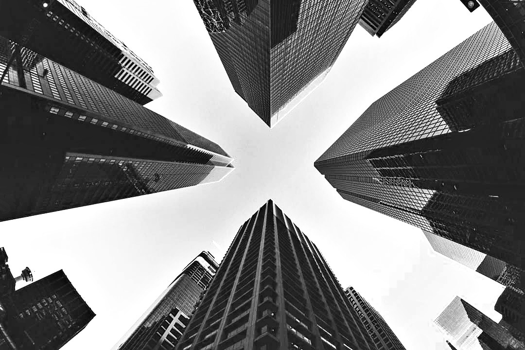 black-and-white-contrast-looks-2