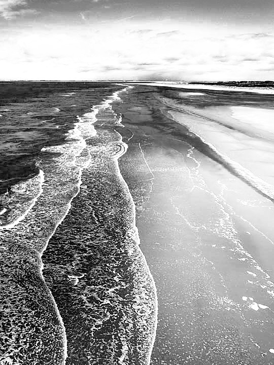 filmic-black-and-white-b-looks-2