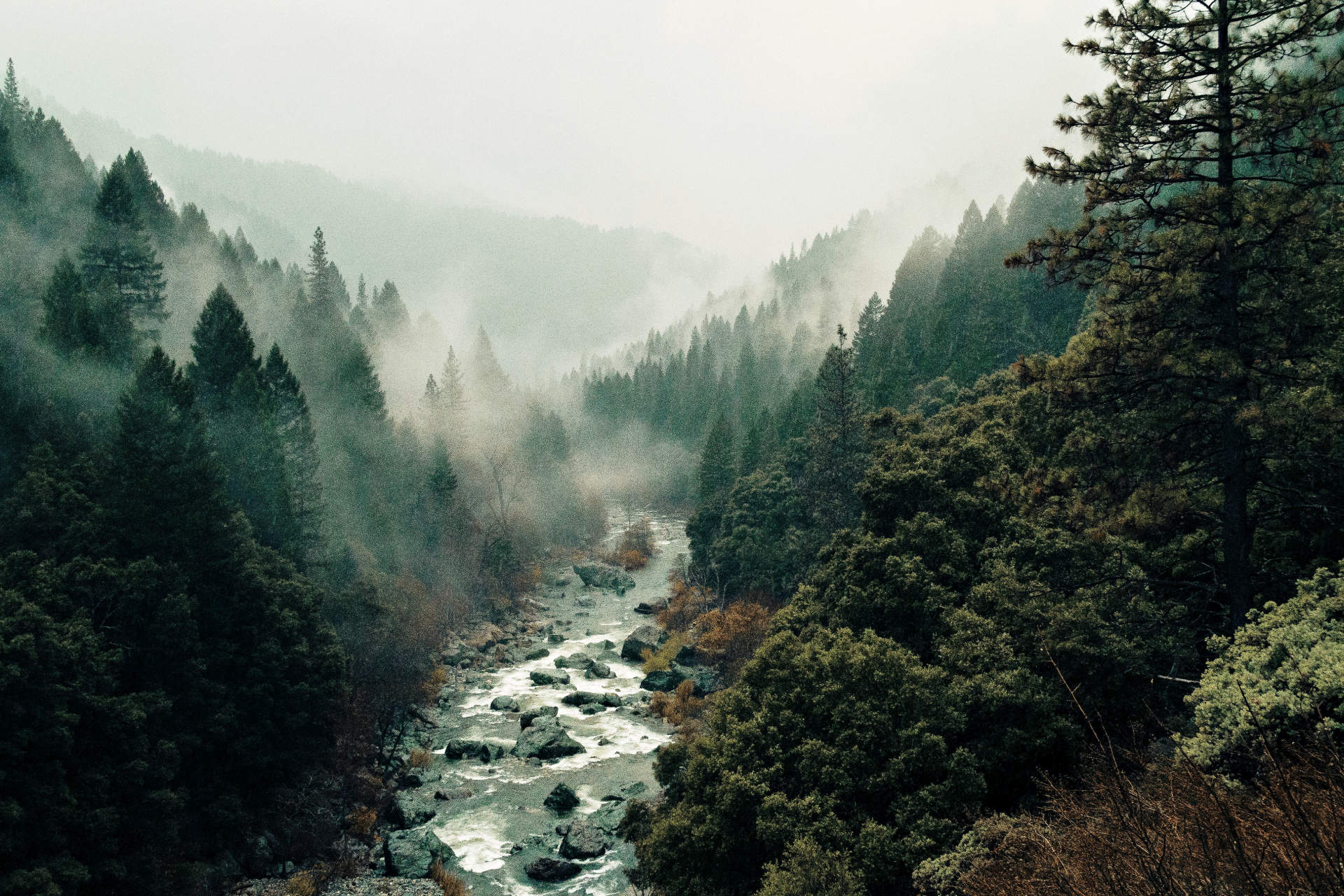 pine-watt-2Hzmz15wGik-unsplash_vivid_outdoor_light-small