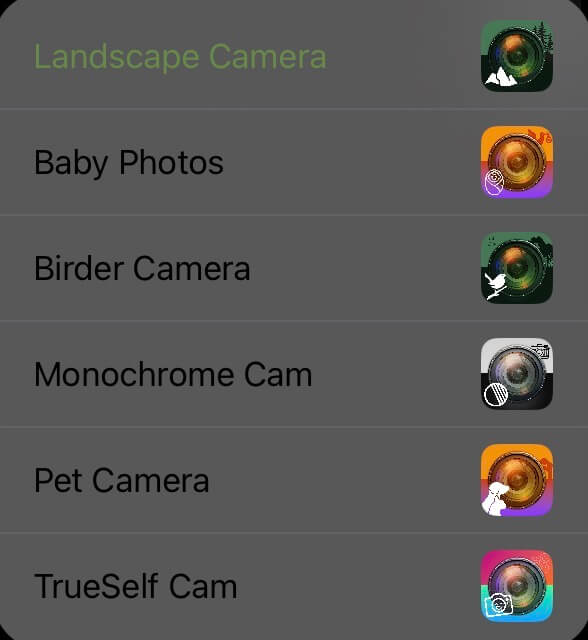 App Switcher Landscape