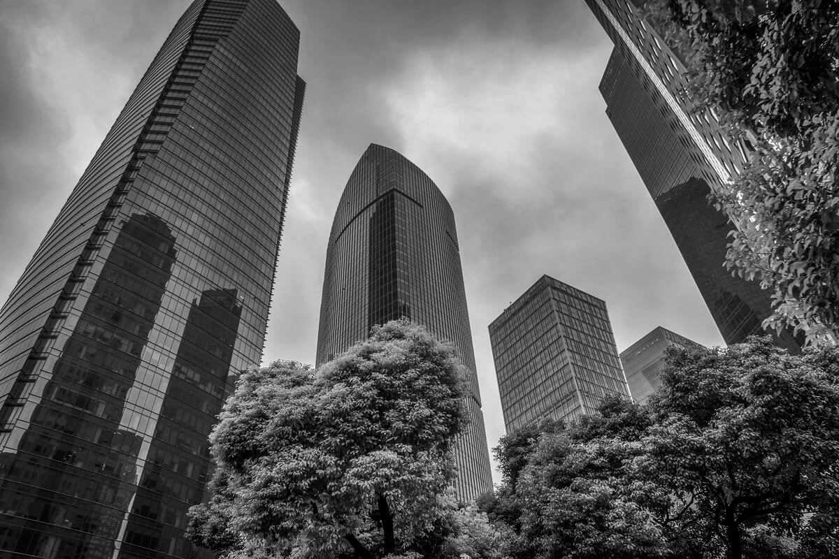 Modern glass skyscrapers rising above green trees in Shanghai.
