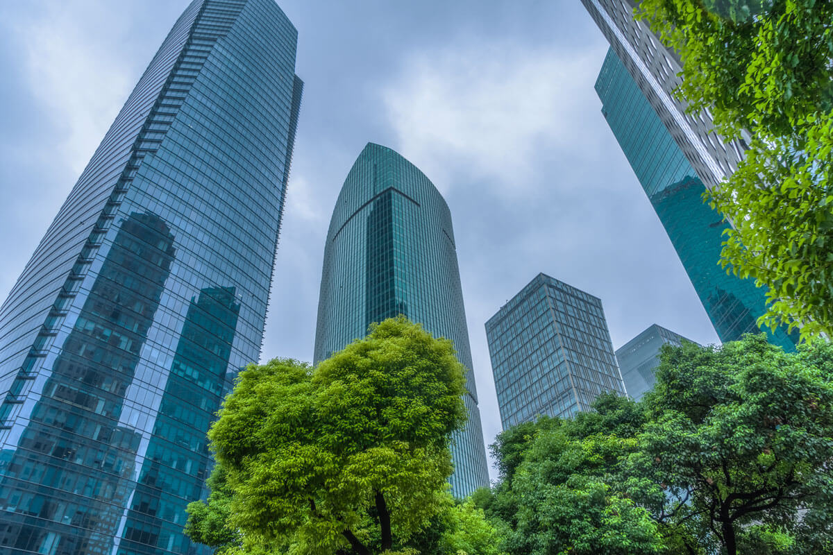Modern glass skyscrapers rising above green trees in Shanghai.